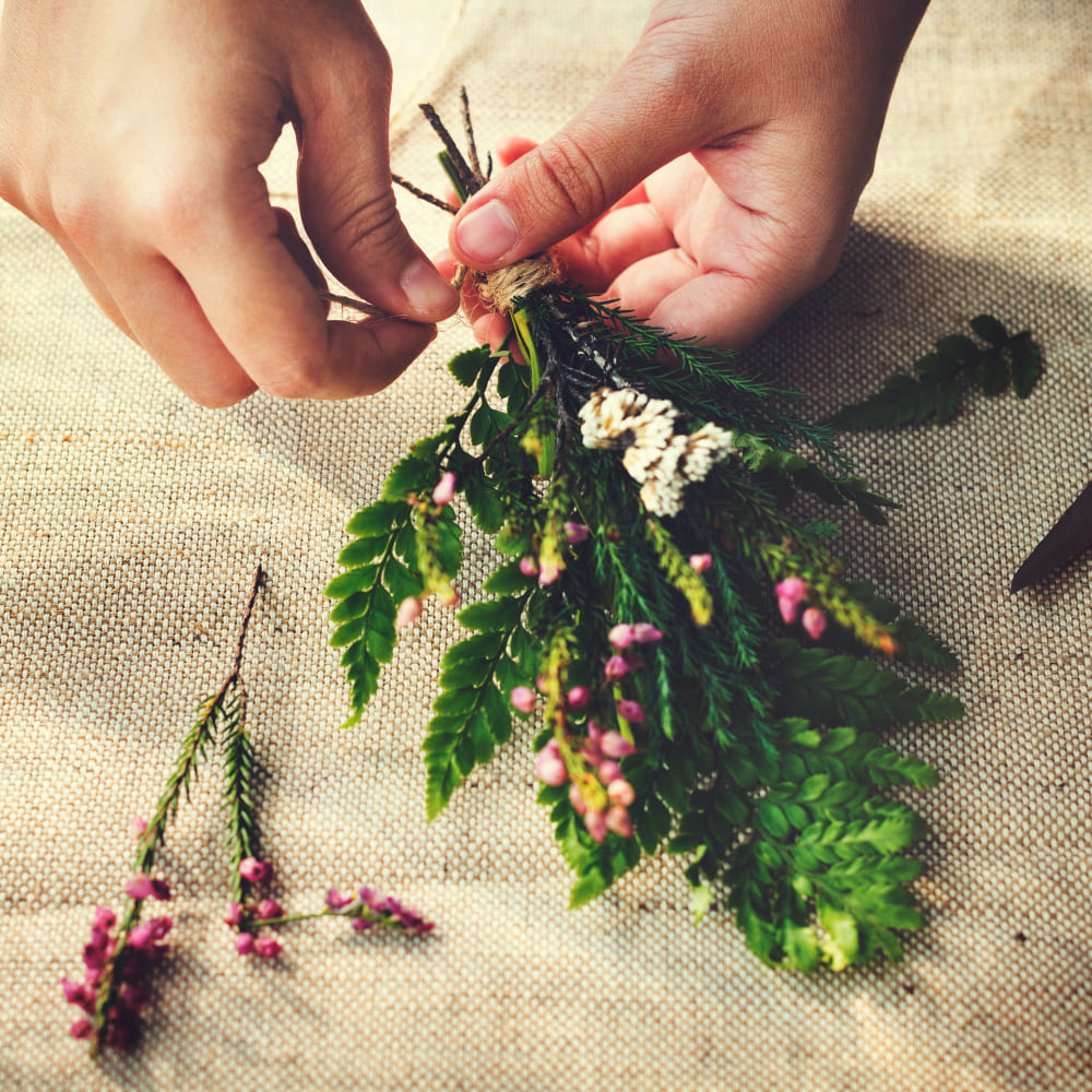 Shatavari: La Planta Ayurveda para la Mujer